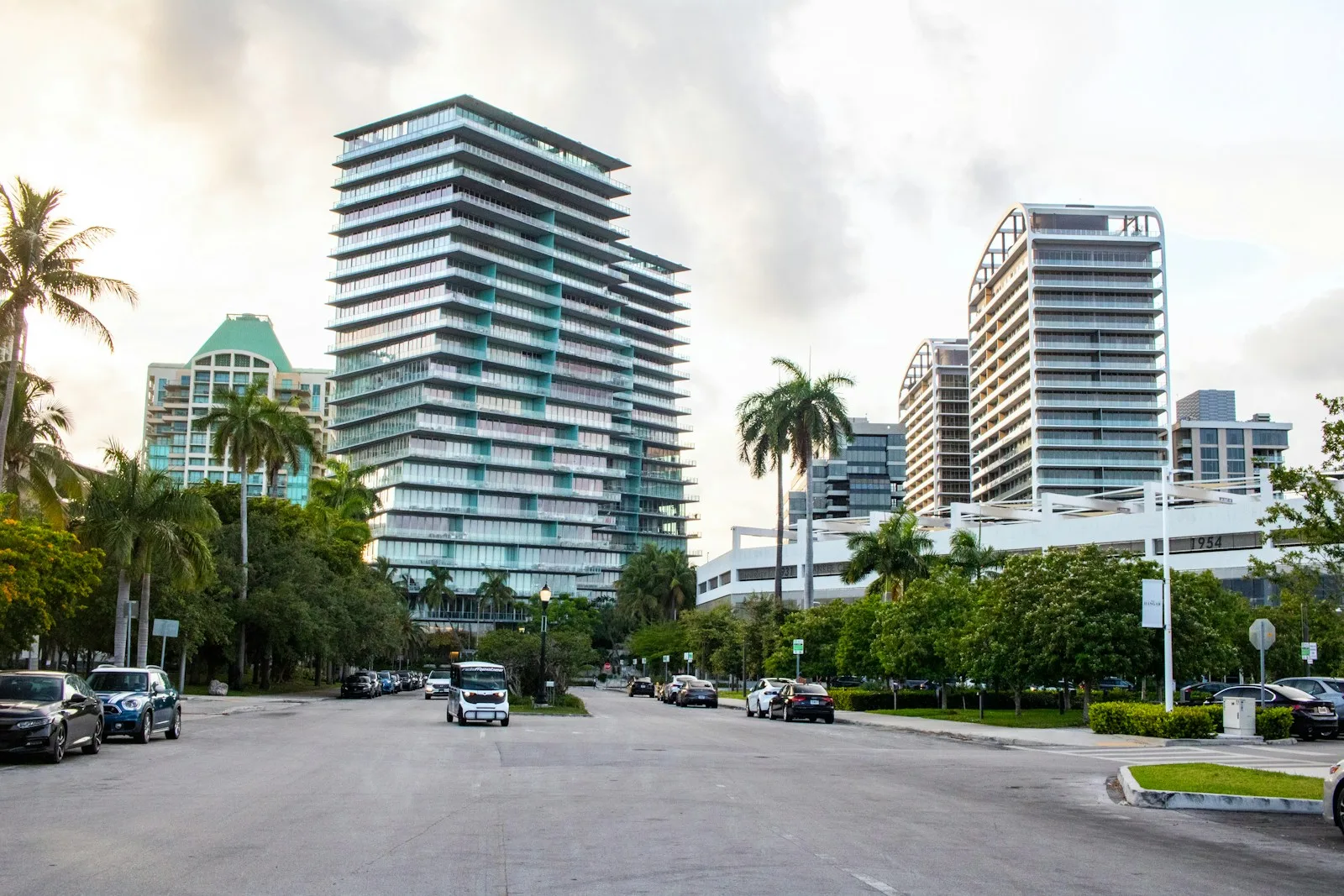 Palm-lined street with condominium towers in Coconut Grove