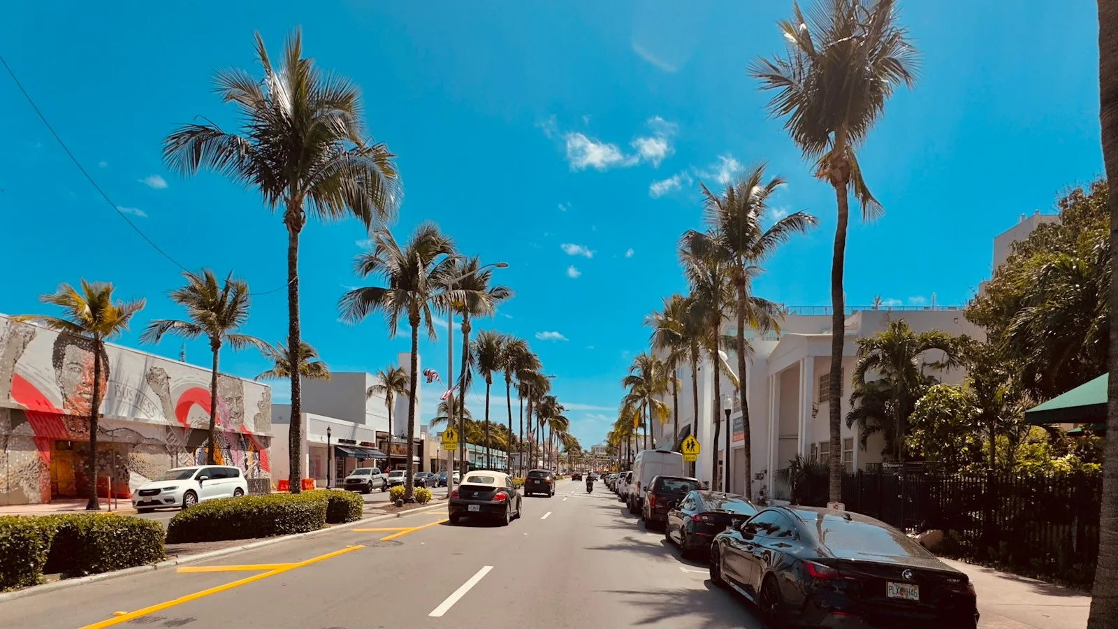 Palm-lined street with parked cars in Miami-Dade
