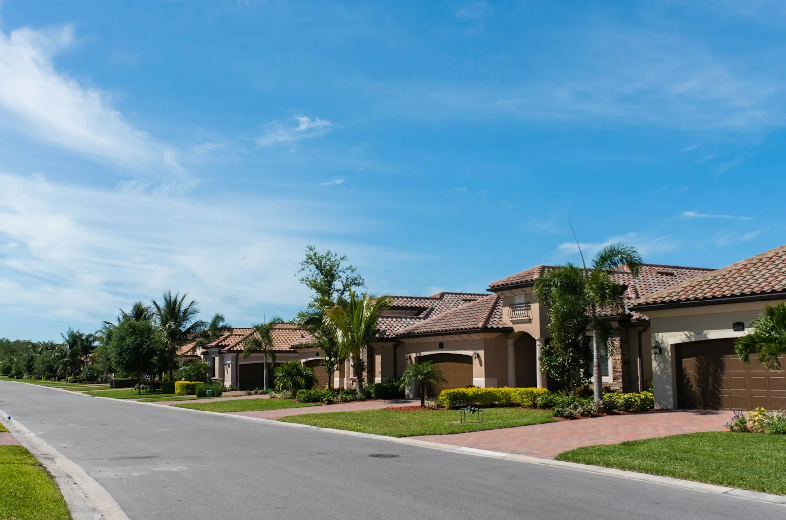 Suburban street with single-family homes, palm trees and lawns